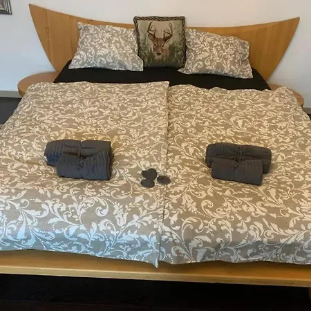Gartenwohnung 5 Min. Zur Stadt Apartment